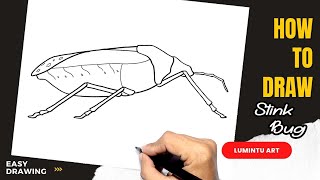 How to draw Stink Bug - Easy Stink Bug Drawing