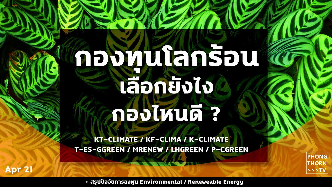 อยากลงทุนลดโลกร้อน ? เลือกยังไง ? กองไหนดี ? เปรียบเทียบกองทุน พร้อมเหตุผลสรุปมาให้แล้ว