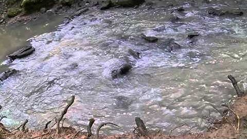 Polaroid Cube + Slow motion water