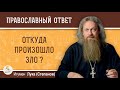 Откуда произошло зло?  Игумен Лука (Степанов)