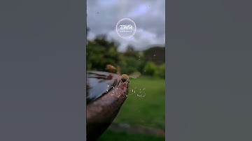 و في أنفسكم افلا تبصرون #حالات_واتس #قرآن #quran #تلاوة_خاشعة #السعودية #تلاوات #النصر