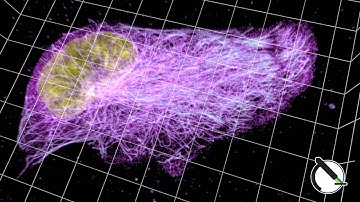Fluorescence microscopy loading in Blender