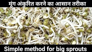Simple method for big and fastest sprouts, मूंग अंकुरित करने का आसान तरीका