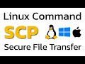 Linux SCP Command: Secure Copy for Local and Remote (Linux & Windows)