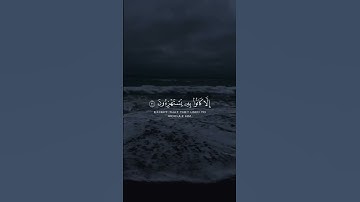 ﴿ يَا حَسْرَةً عَلَى الْعِبَادِ ۚ…﴾ القارئ: شريف مصطفى - سورة يس
