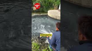 Необычная сетка для ловли рыбы!