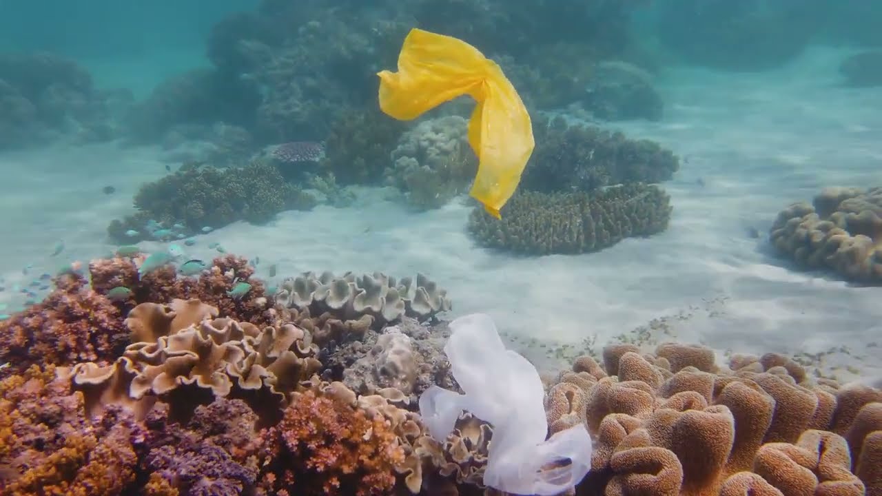 The Shocking Truth About Extinction Rates!