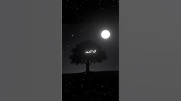 القارئ/محمد اللحيدان/سورة الاخلاص/🖤🥀