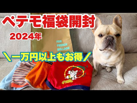 【福袋2024】ペテモの福袋が思いのほか豪華だった!フレンチブルドッグのルーク【Luke VLOG #142】