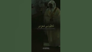 سوره الواقعه الشيخ ياسر الدوسري 🥀🖤 #قرآن #المصحف #ياسر_الدوسري #تصيمي