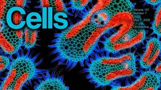 The Secret Life of Cells | Sleep Documentary Profile