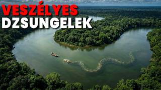 A 15 Legveszélyesebb Dzsungel a Világban