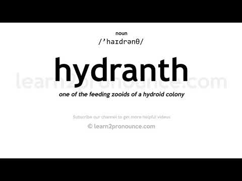 Video: Hydroid (kwal): structuur, voortplanting, fysiologie