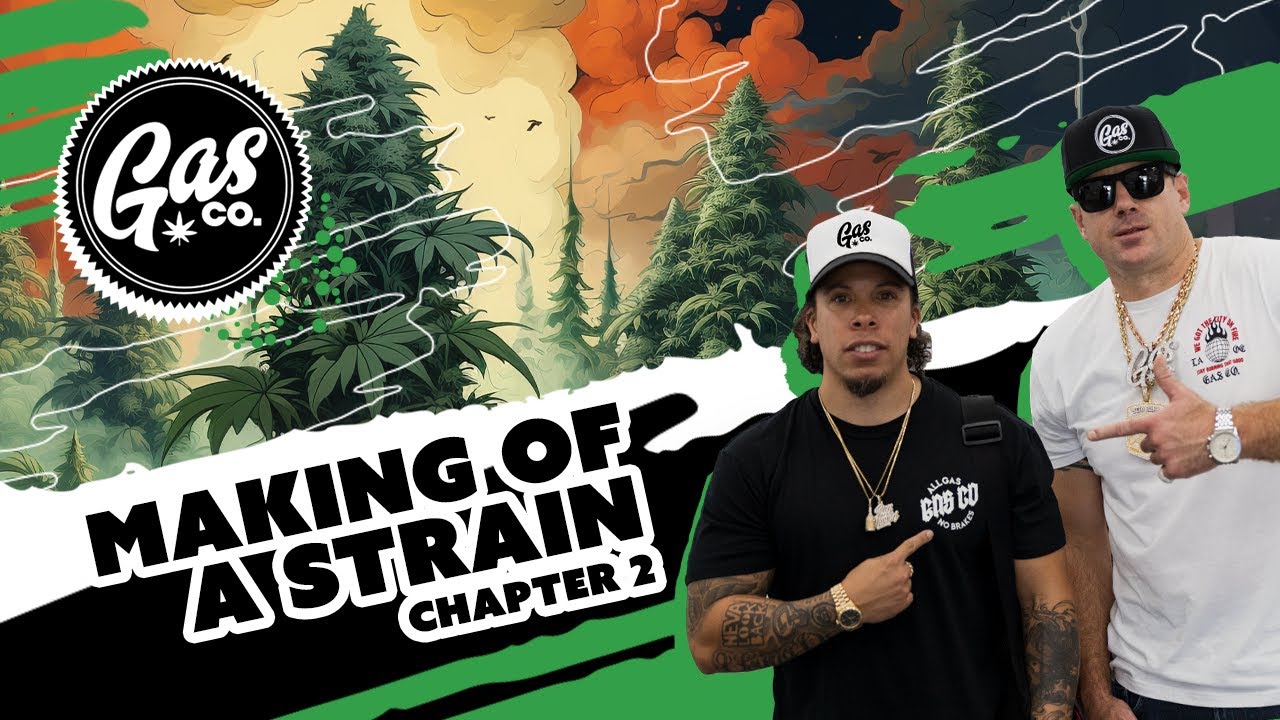 Gas Co - Making of a strain: Chapter 2 (Documentary)