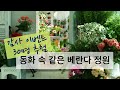 한겨울의 동화 같은 거실 베란다 정원 / 감사 이벤트 30명 추첨 / 배합 걱정 없이 한번에 끝내는 최고급 흙 증정