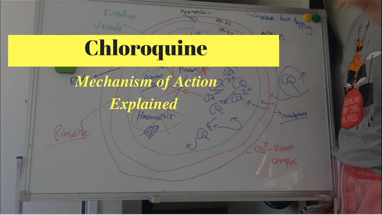 Two anti-malarial drugs Chloroquine and Hydroxychloroquine show ...