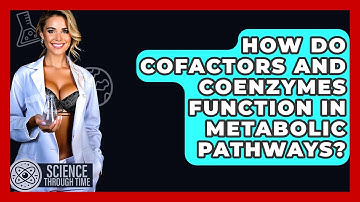 How Do Cofactors And Coenzymes Function In Metabolic Pathways? - Science Through Time