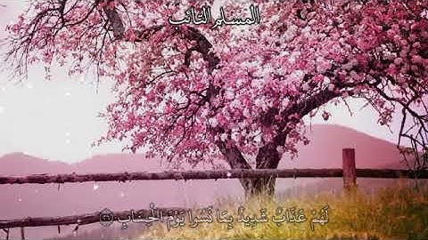 تلاوة خاشعة من سورة ص للقارئ عبد الله خلف