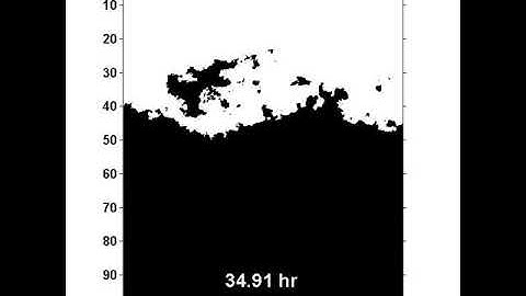 Neutron Radiography - Drying of porous media