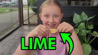 EAT A LIME! #lime #cheers #summer by Kenzie and Friends 40 views 1 year ago 36 seconds