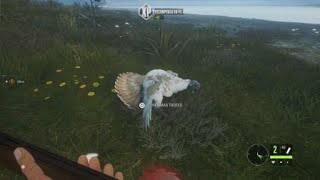 theHunter: Call of the Wild Doblete de pavos