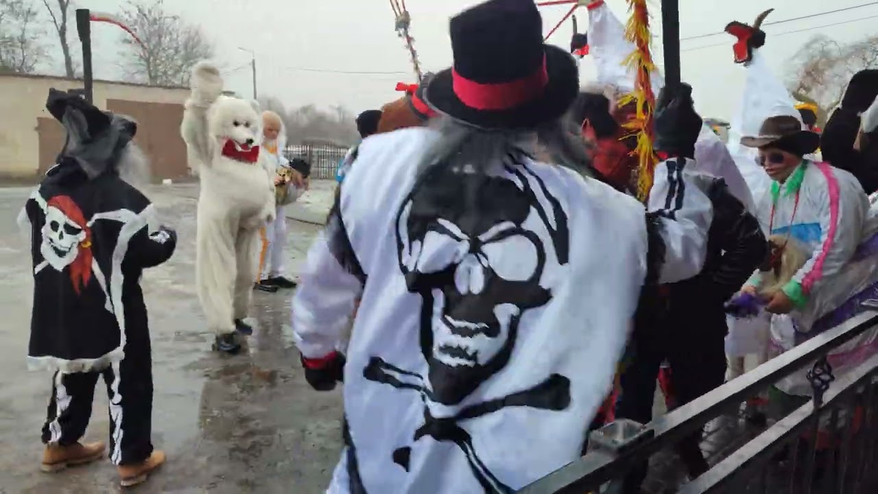 Koza Świętosław 2026