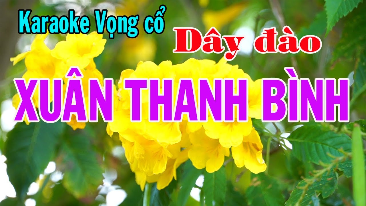 Karaoke vọng cổ XUÂN THANH BÌNH - DÂY ĐÀO