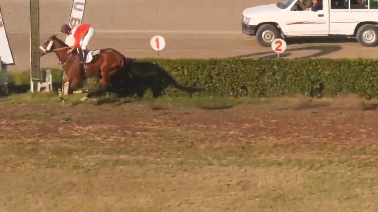 Победитель 6-й гонки на 1100 метров в Педингтоне | Жокей Азан Имран, тренер Рашид Латиф |