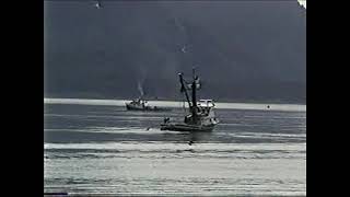 Prince William Sound