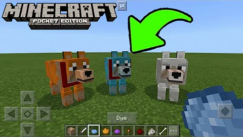 ¿Se pueden teñir animales en Minecraft?