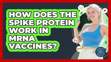 How Does The Spike Protein Work In mRNA Vaccines? - All About the Immune System