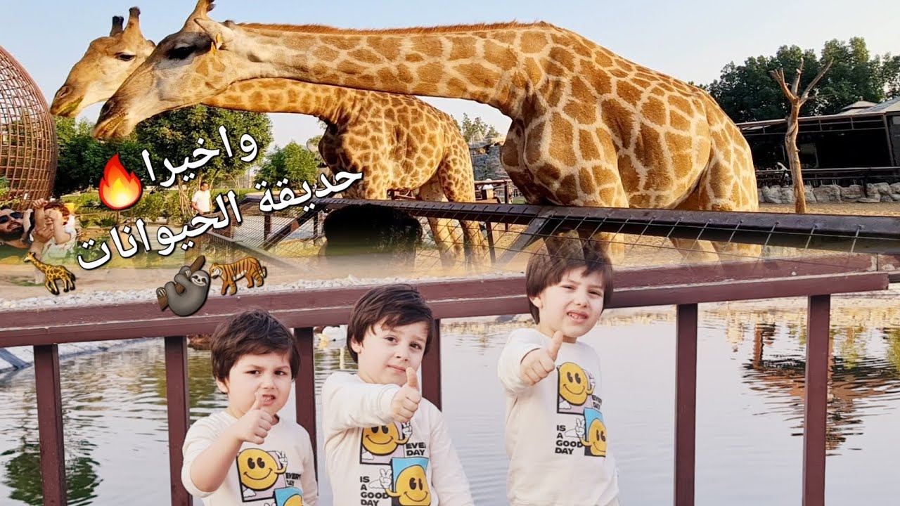 جولة بحديقةالحيوانات ب(أم القيوين)🐅🦒ودخولنا للصحراء🏜يومنا بالكامل مع اكشن مهند 👦👨‍👩‍👧‍👧#viral #vlog 
