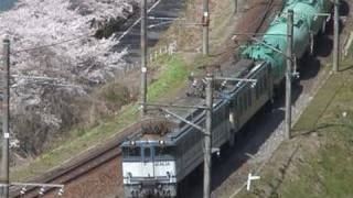 (HD) EF64-0重連 JR貨物 勾配線区用電気機関車 (重連牽引貨物列車がいっぱい)