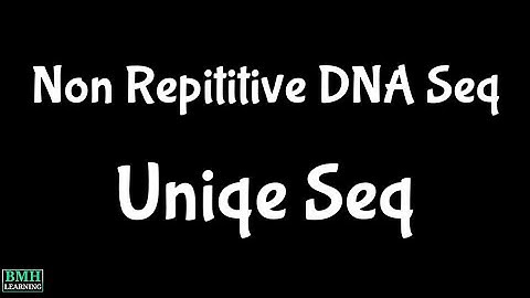 Non Repititive DNA Sequence | Unique DNA sequences | Single Copy Sequences |