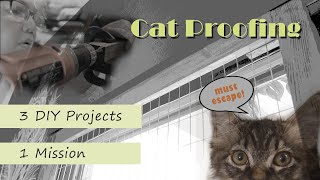 Practical DIY CAT PROOFING our Home  Watch till the End for Extra Kitten Clip