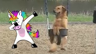 the #1 skywars player