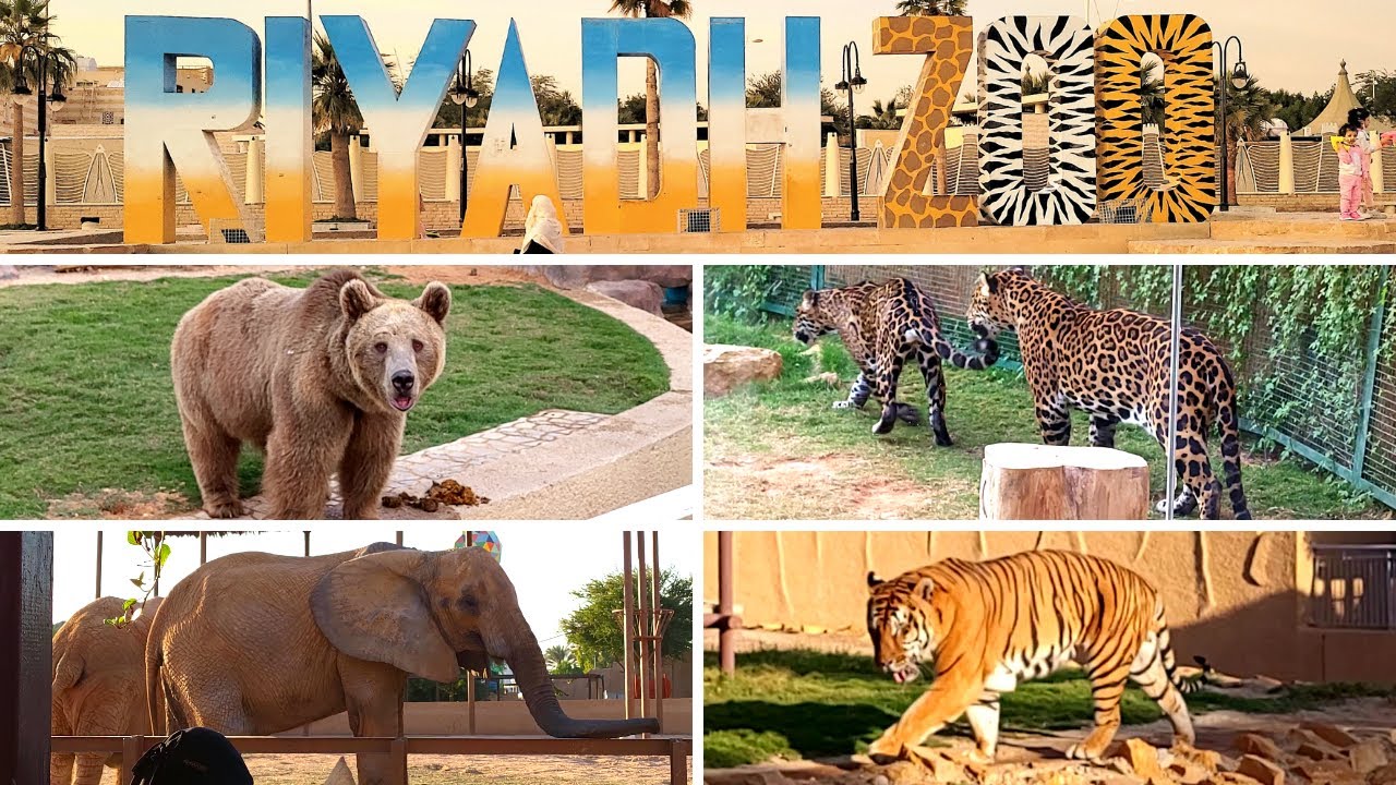 riyadh zoo safari