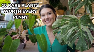 10 Rare Plants WORTH Every Penny  Uncommon Houseplants That You Will Love