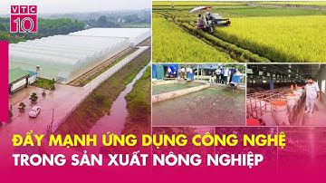 Đẩy mạnh ứng dụng công nghệ trong sản xuất nông nghiệp | THV | VTC10