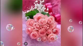 Download lagu  Dil deewana na jane song with sceneries lyrics ❤️❤️❤️