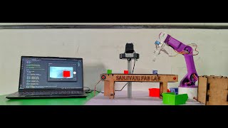 Famous Object Sorting Robot Using Open CV Net Worth