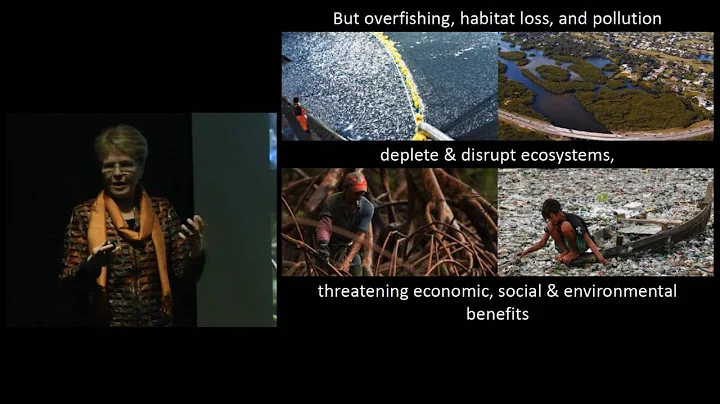 From Doom and Gloom to Hope: Innovations in Ocean ...