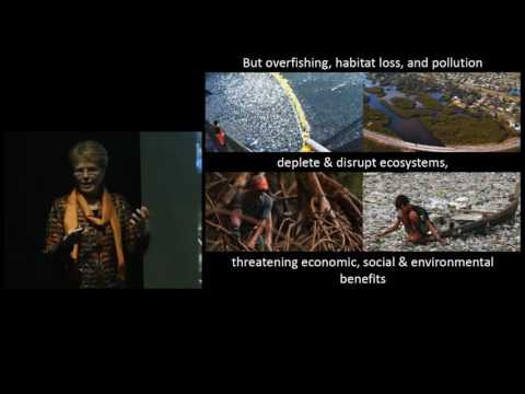 From Doom and Gloom to Hope: Innovations in Ocean Science and Policy on YouTube