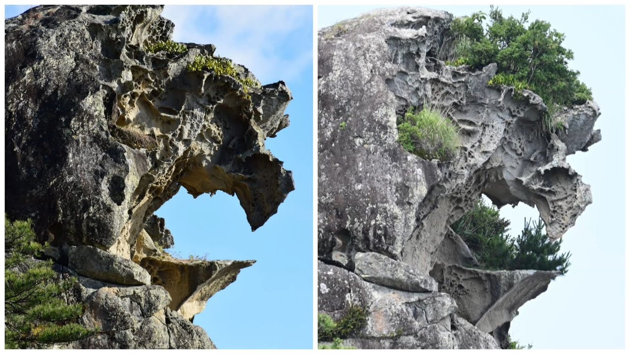 Weeds around the mouth of the World Heritage Shishi-iwa (Lion Rock