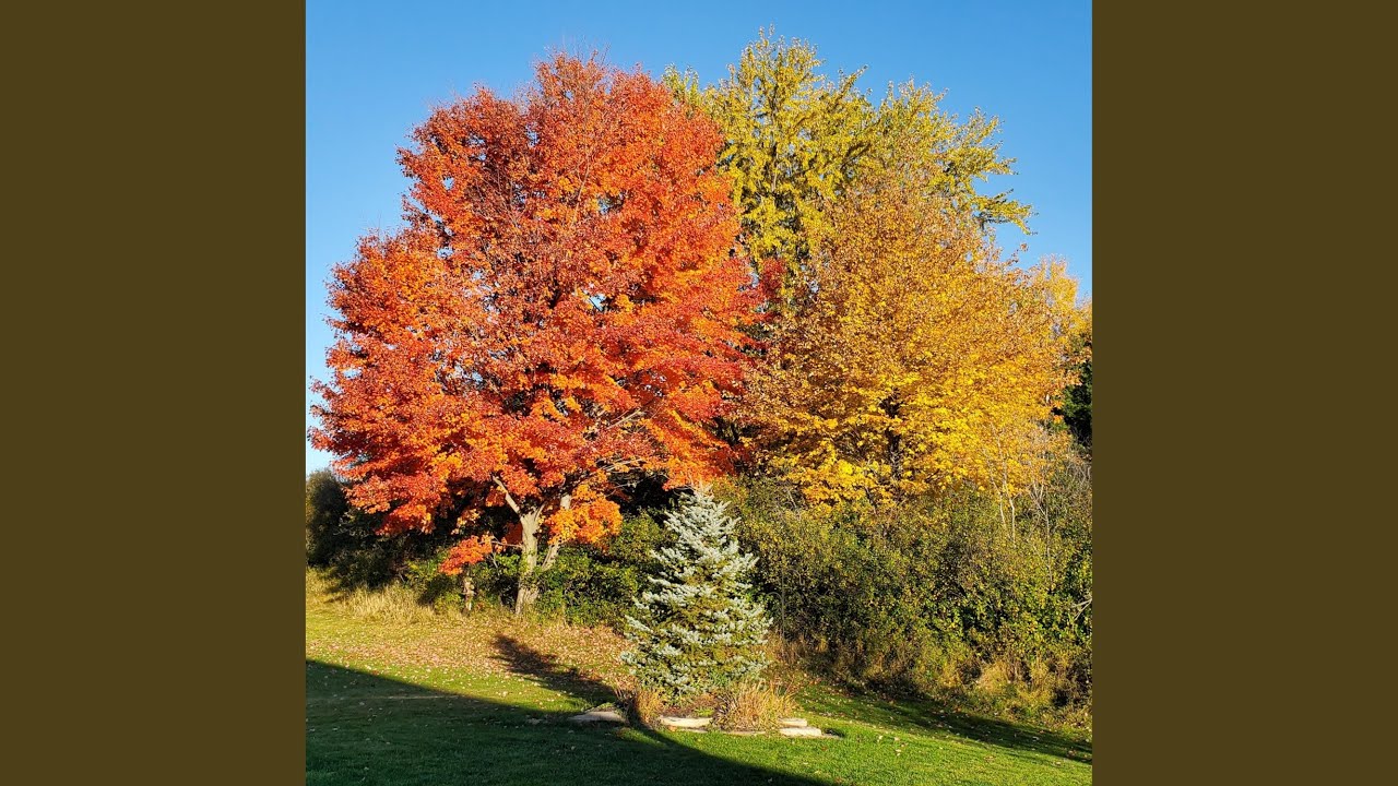 Regardez Crying All the time sur YouTube Regardez Crying All the time sur YouTube