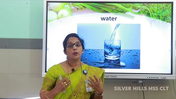 SILVER HILLS HSS | Std VI | Basic Science | Chapter 5 – FOOD FOR HEALTH – Part III | Ms Reena K