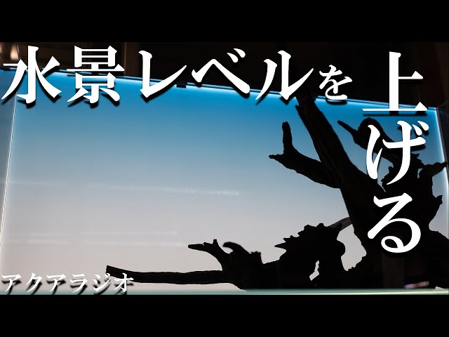 アクアリウムトールマン 60㎝レギュラータンク用LEDバックパネル sddefault.jpg