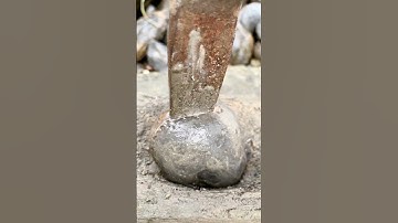 Hammer & Chisel Splits Fossil Rock! 🤯 #fossil #treasure