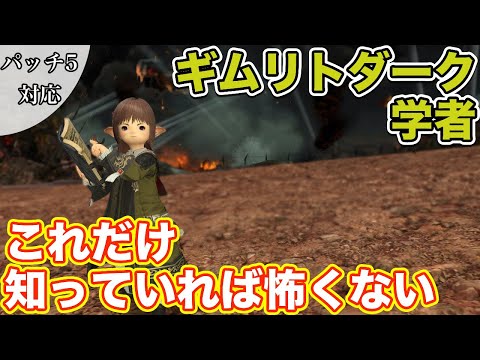 【FF14】ギムリトダークに学者(ヒーラー)で挑戦【これだけ知っていれば怖くないヒーラー編 2021年版】
