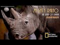 The Giant Mighty Rhino - Most Interesting facts